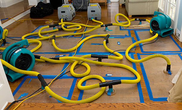 Professional Burst Pipe Water Damage technician working in Valley Spring, TX